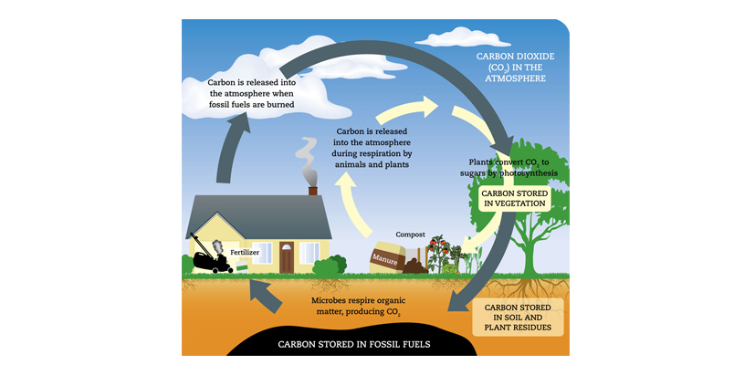 碳循环UCS