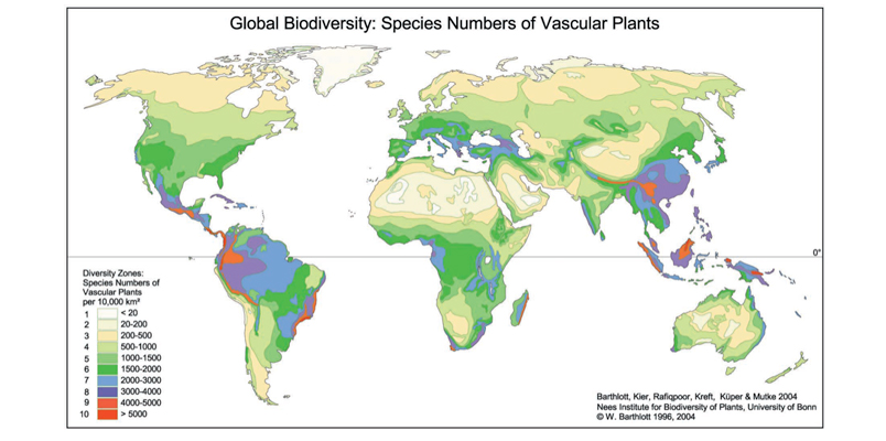 全球生物多样性:维管物种图谱