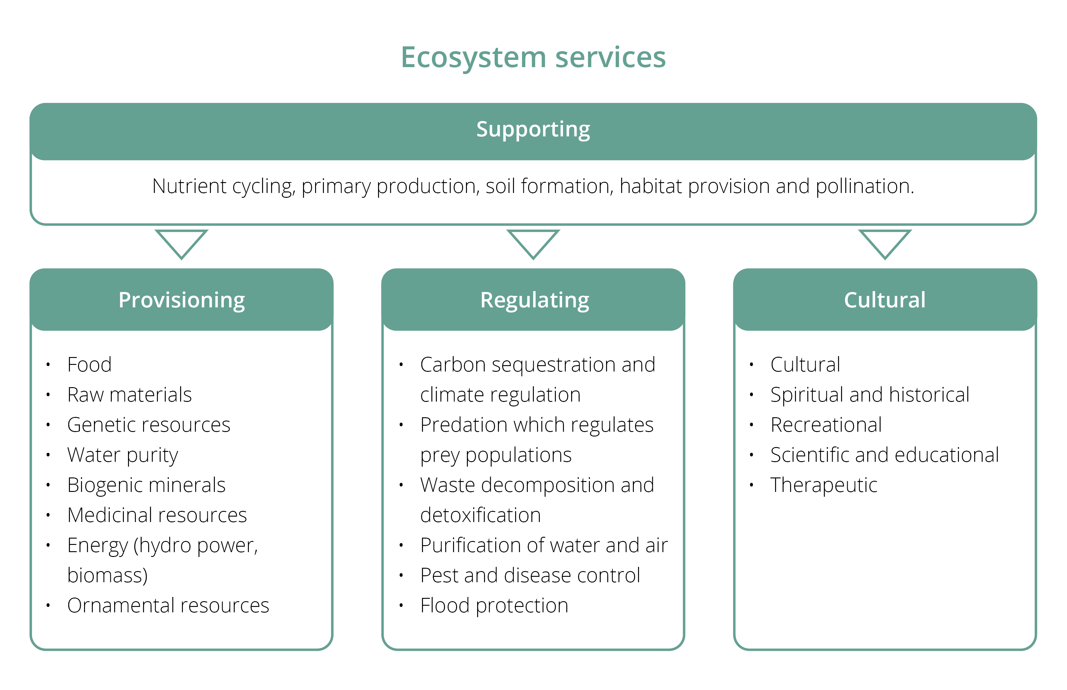 生态系统服务分为四类